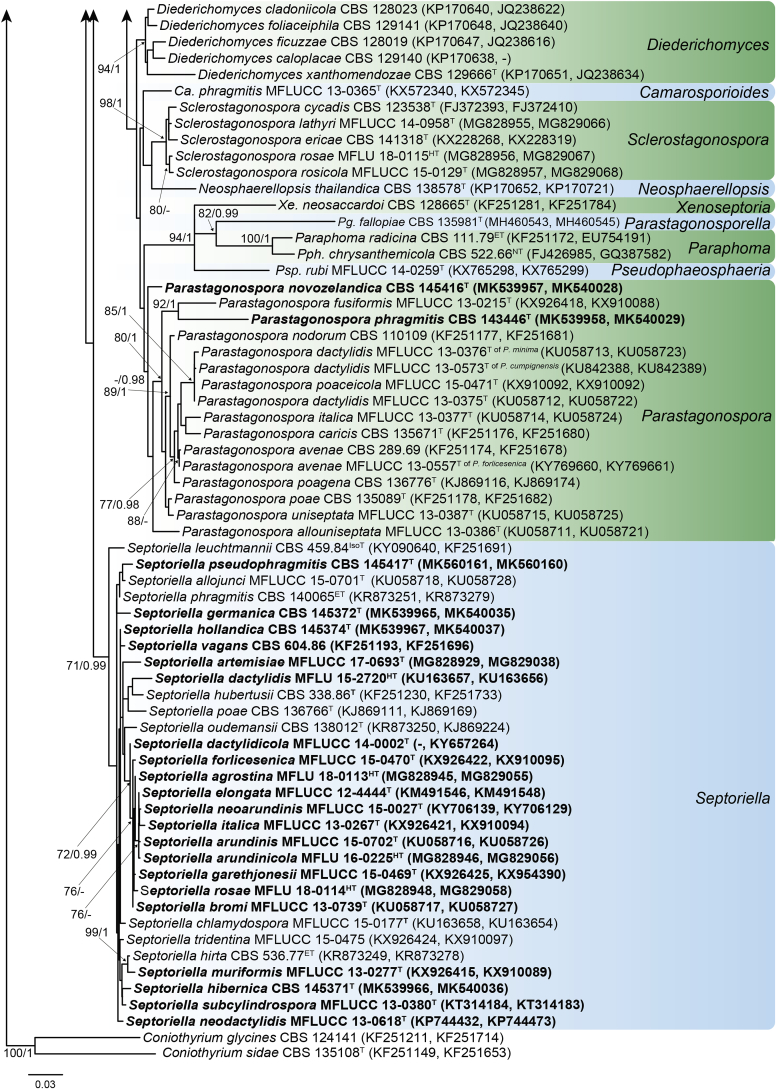 Fig. 28