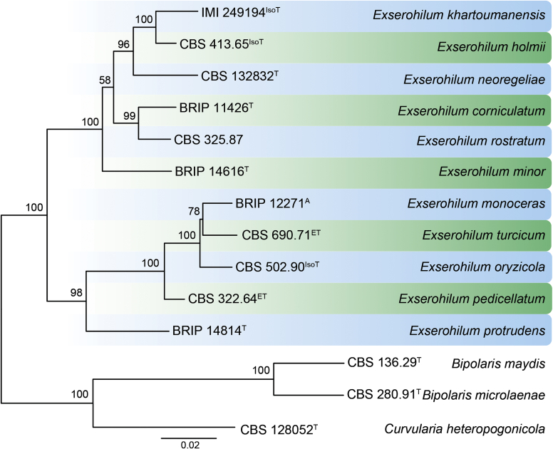 Fig. 26