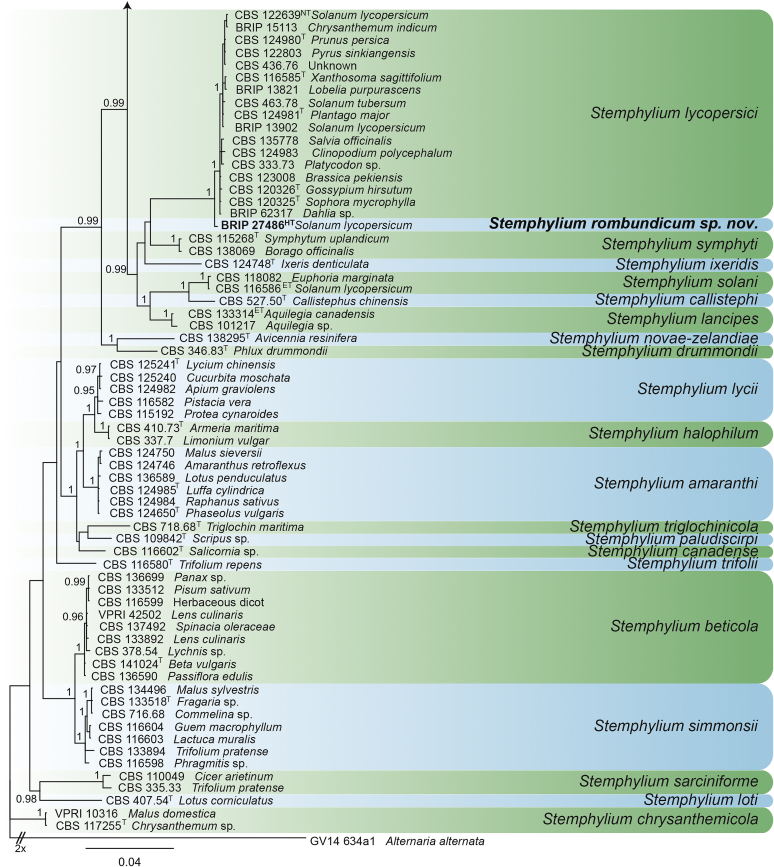 Fig. 78