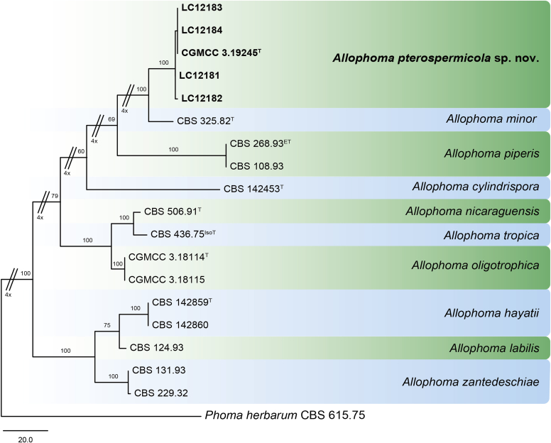 Fig. 2