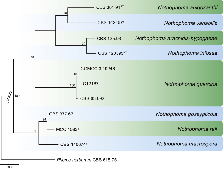 Fig. 37