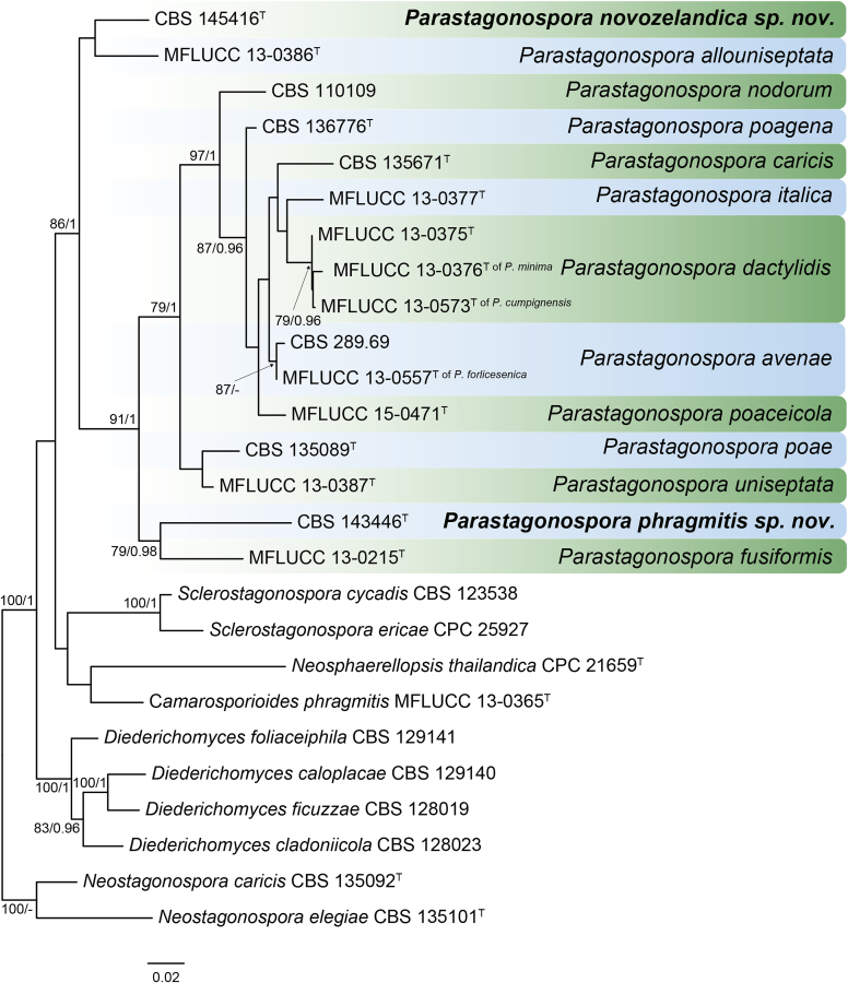 Fig. 39