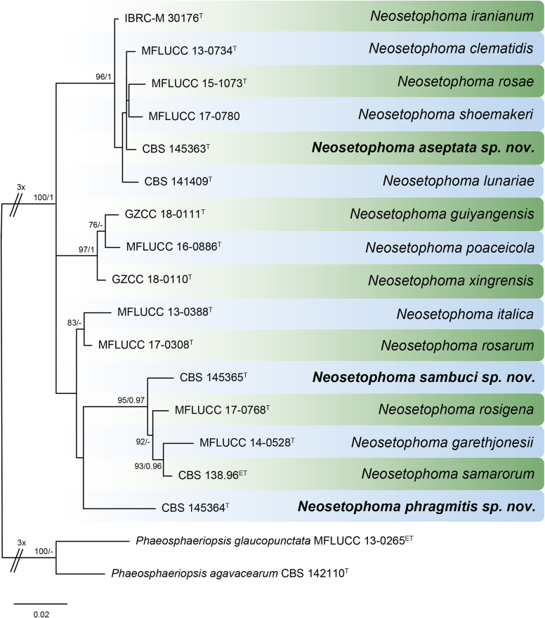 Fig. 29