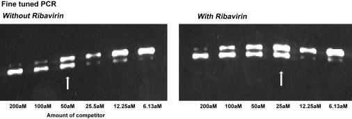 FIG. 8.