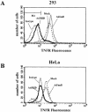 FIG. 5.