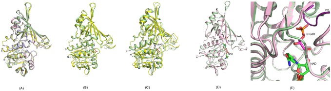 Fig 5