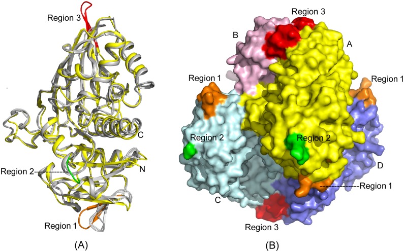 Fig 6