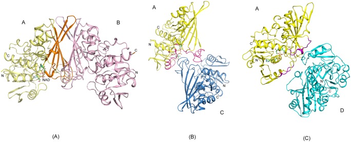 Fig 2