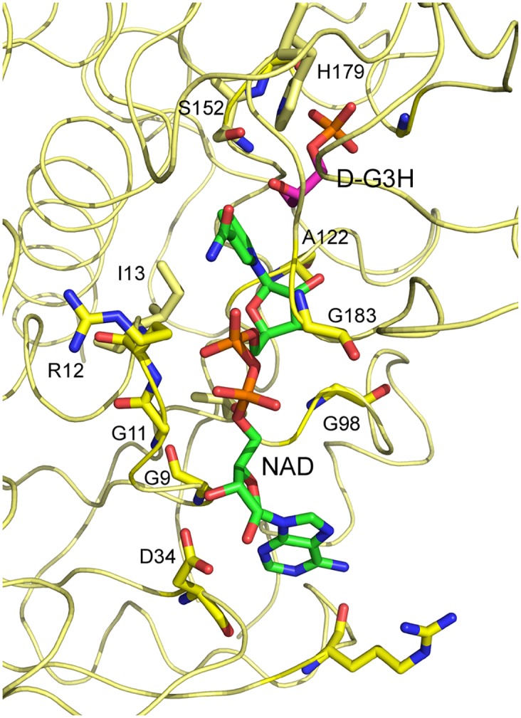 Fig 3