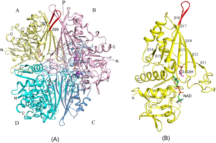 Fig 1