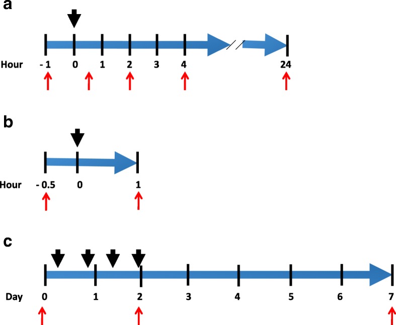 Fig. 2