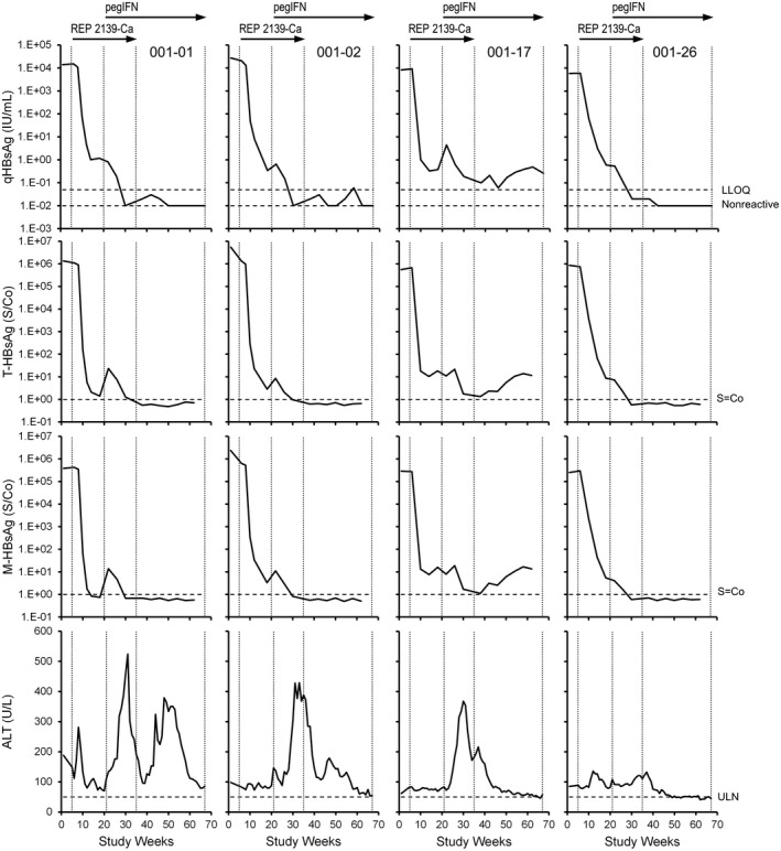 FIGURE 3