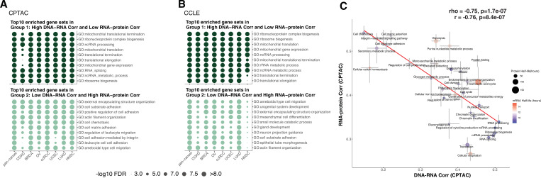 Figure 3—figure supplement 1.