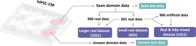 Fig. 10