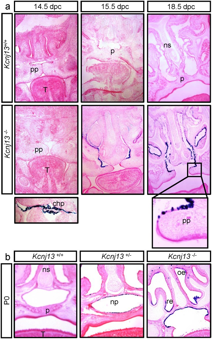 Fig 6