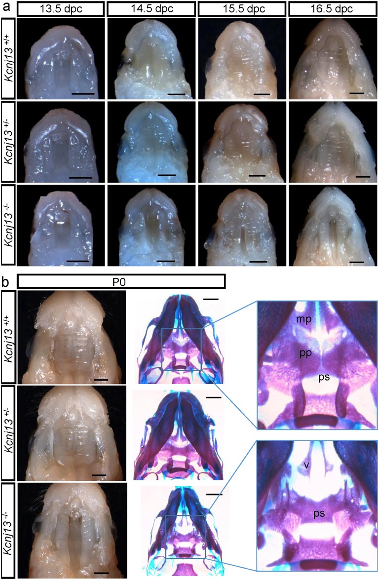 Fig 5