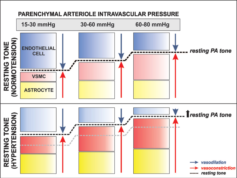 Figure 7.