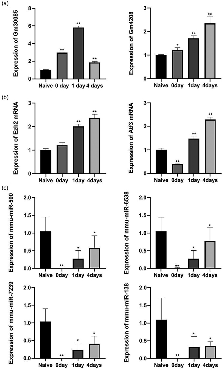 Figure 6.