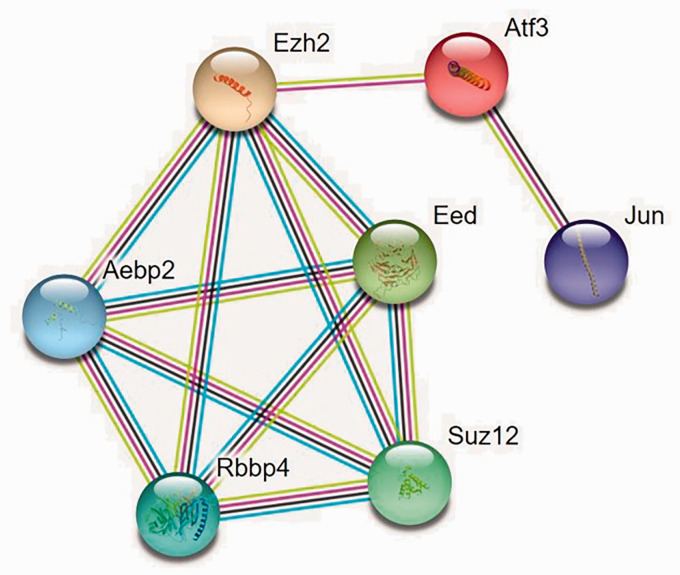 Figure 5.