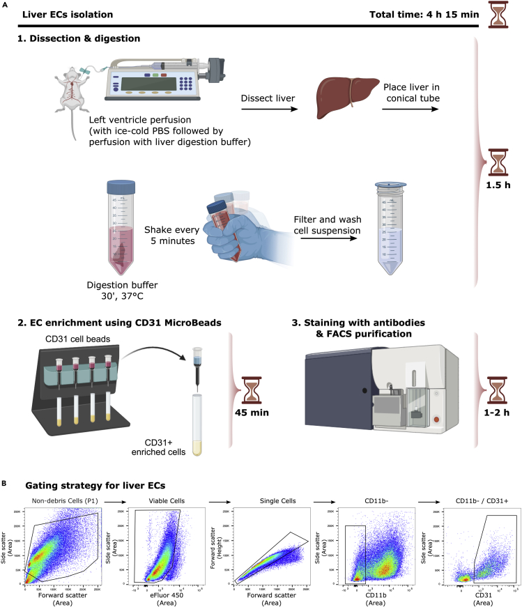 Figure 4