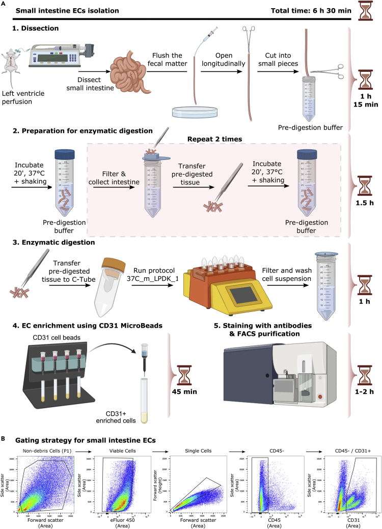 Figure 1