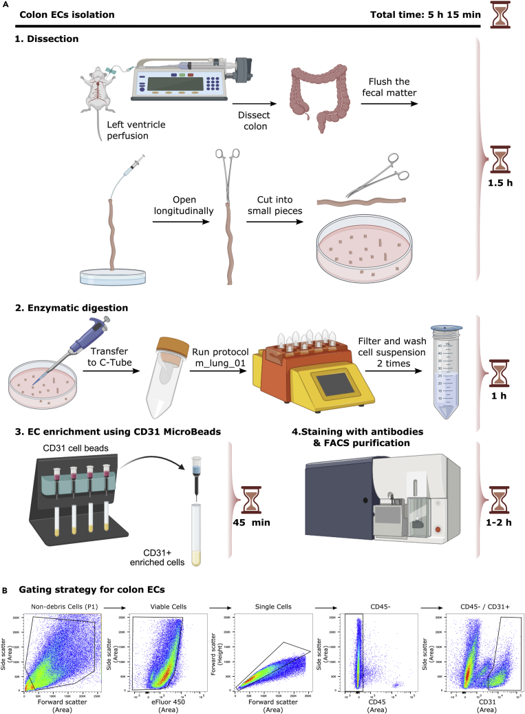 Figure 2