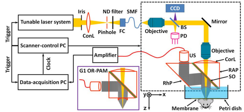 Figure 10