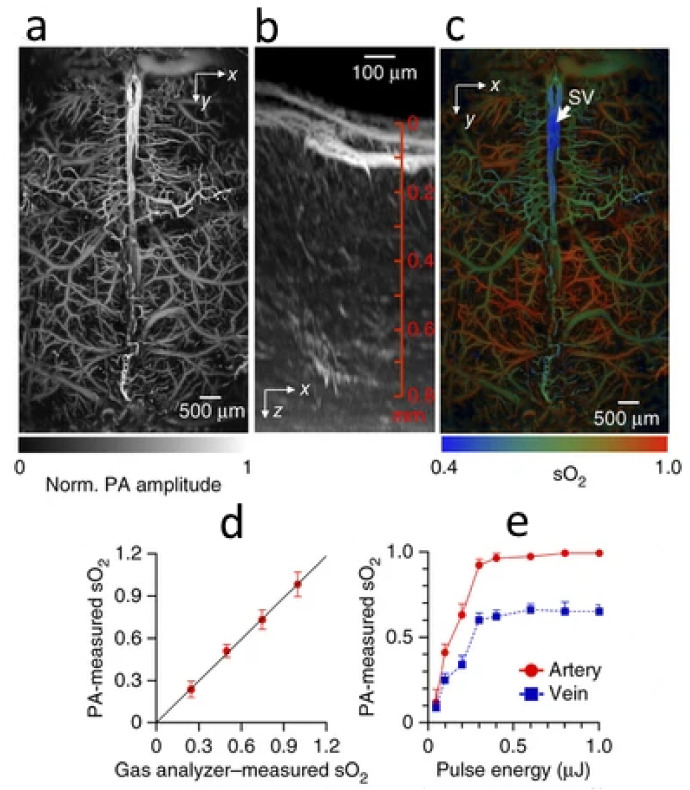 Figure 18