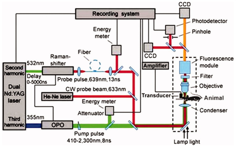 Figure 14