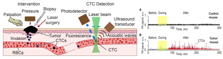 Figure 24