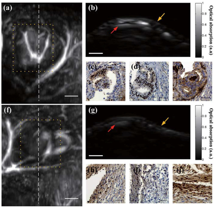 Figure 19