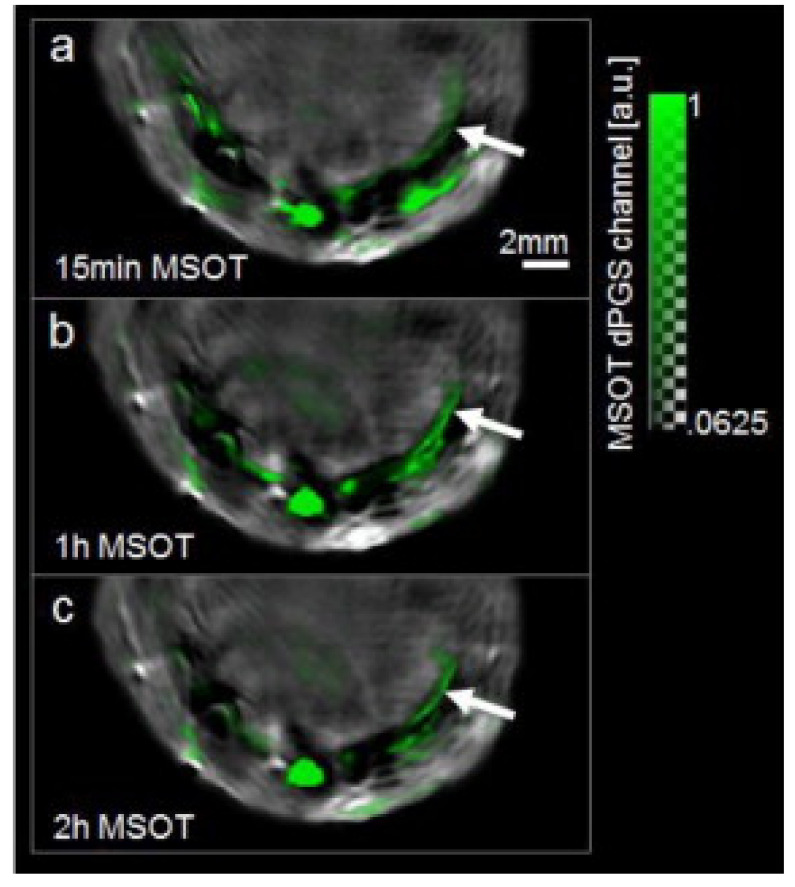 Figure 17