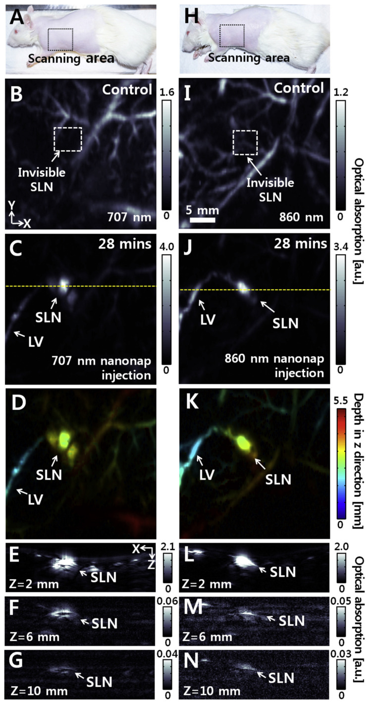 Figure 20