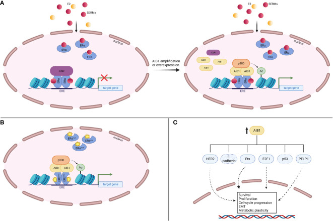 Figure 6