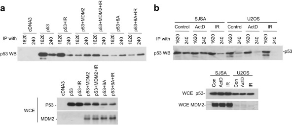 Fig. 9.