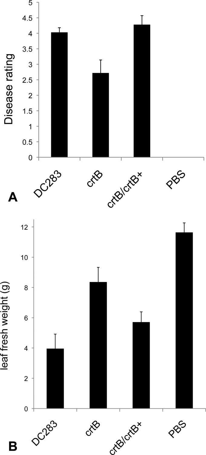 Fig 6