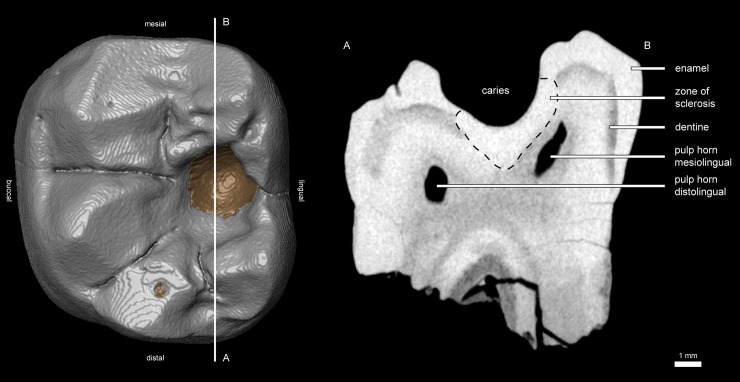 Fig 4