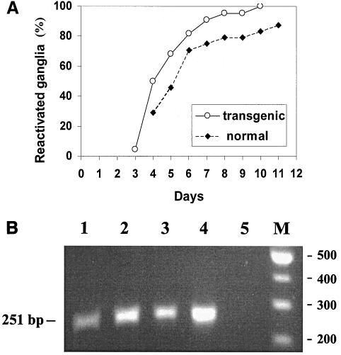 FIG. 5.