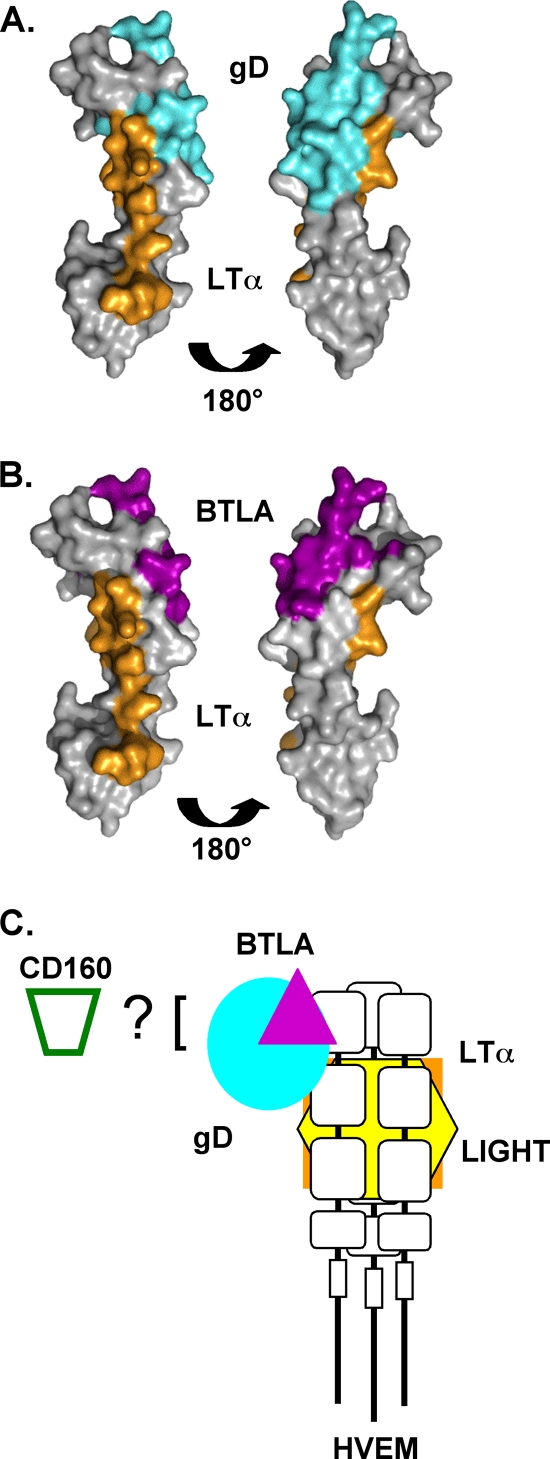 FIG. 8.