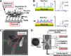 <b>Fig. 5.</b>