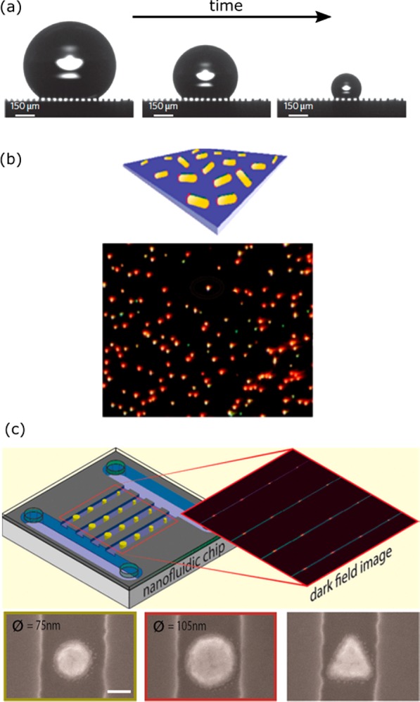 Figure 19