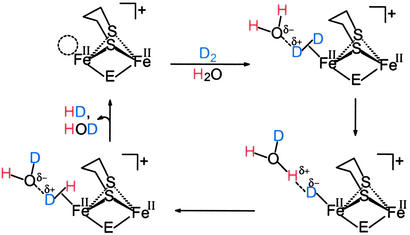 Scheme 2