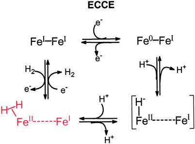 Scheme 3