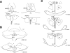 Fig. 6.
