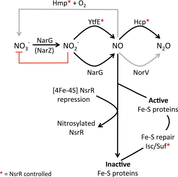 Figure 9