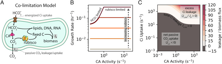 Fig. 7.