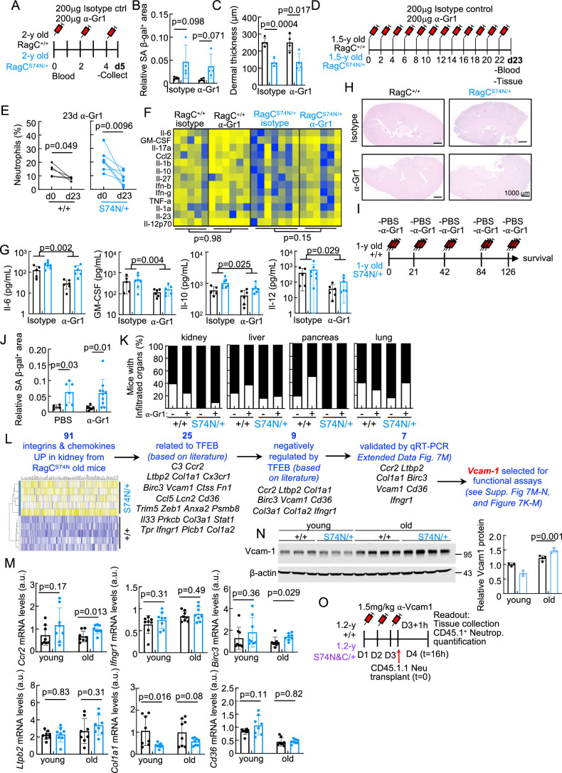 Extended Data Fig. 7