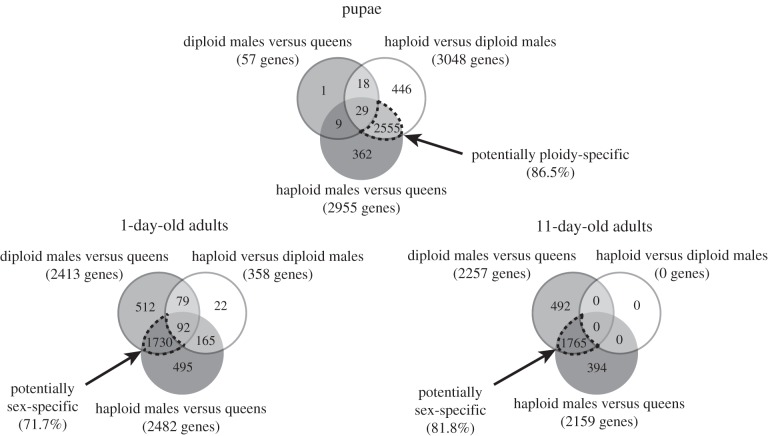 Figure 2.