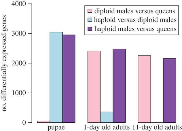 Figure 1.