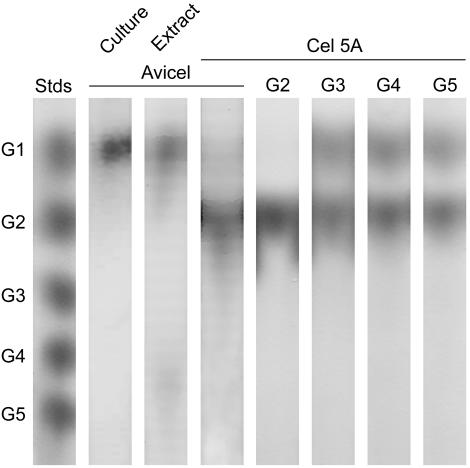 FIG. 4.